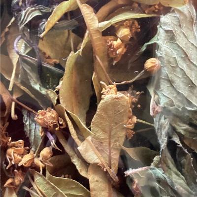 Tisane tilleul bio 20 gr